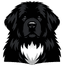Gander Labs